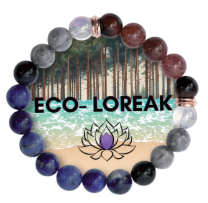 ecoloreak.fr